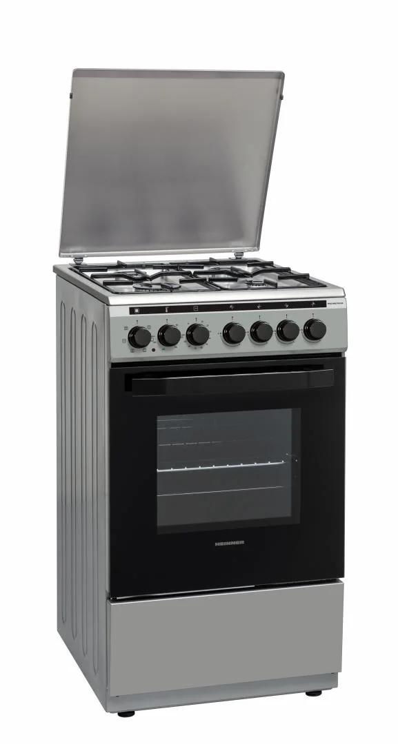 ARAGAZ MIXT HEINNER HFSC-V60LITGC-SS Heinner