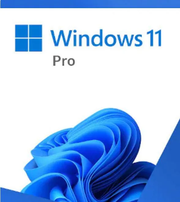 MS ESD Windows Professional 11 64-bit All Languages Online Product Key License 1 License Downloadable ESD NR
