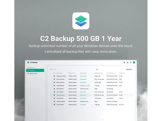 SYNOLOGY C2 backup 500GbE 1 year