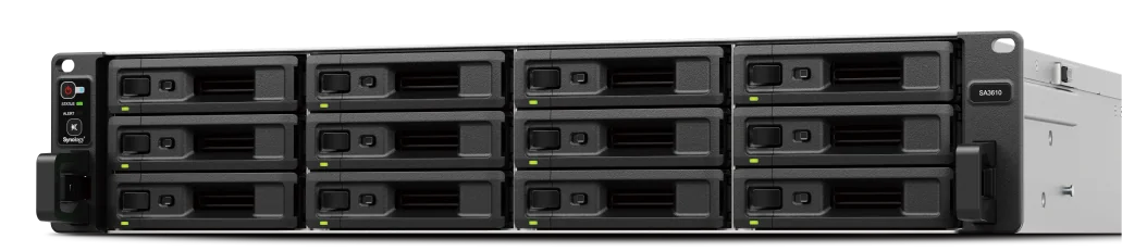 NAS SA3610
