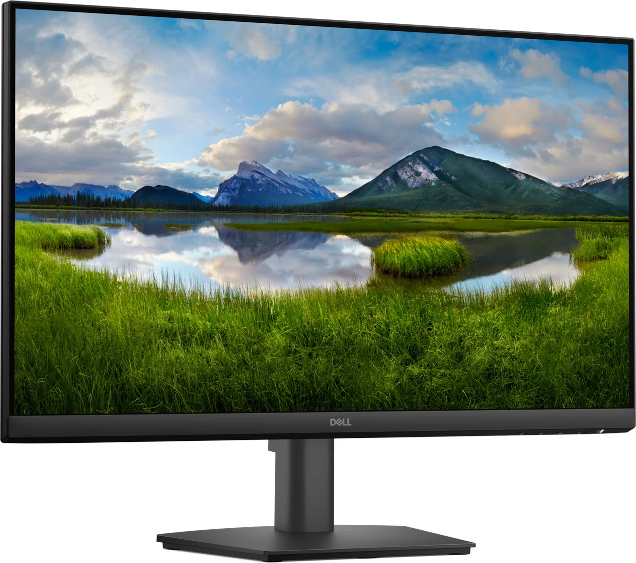 DELL PRO 24 MON E2425HM S