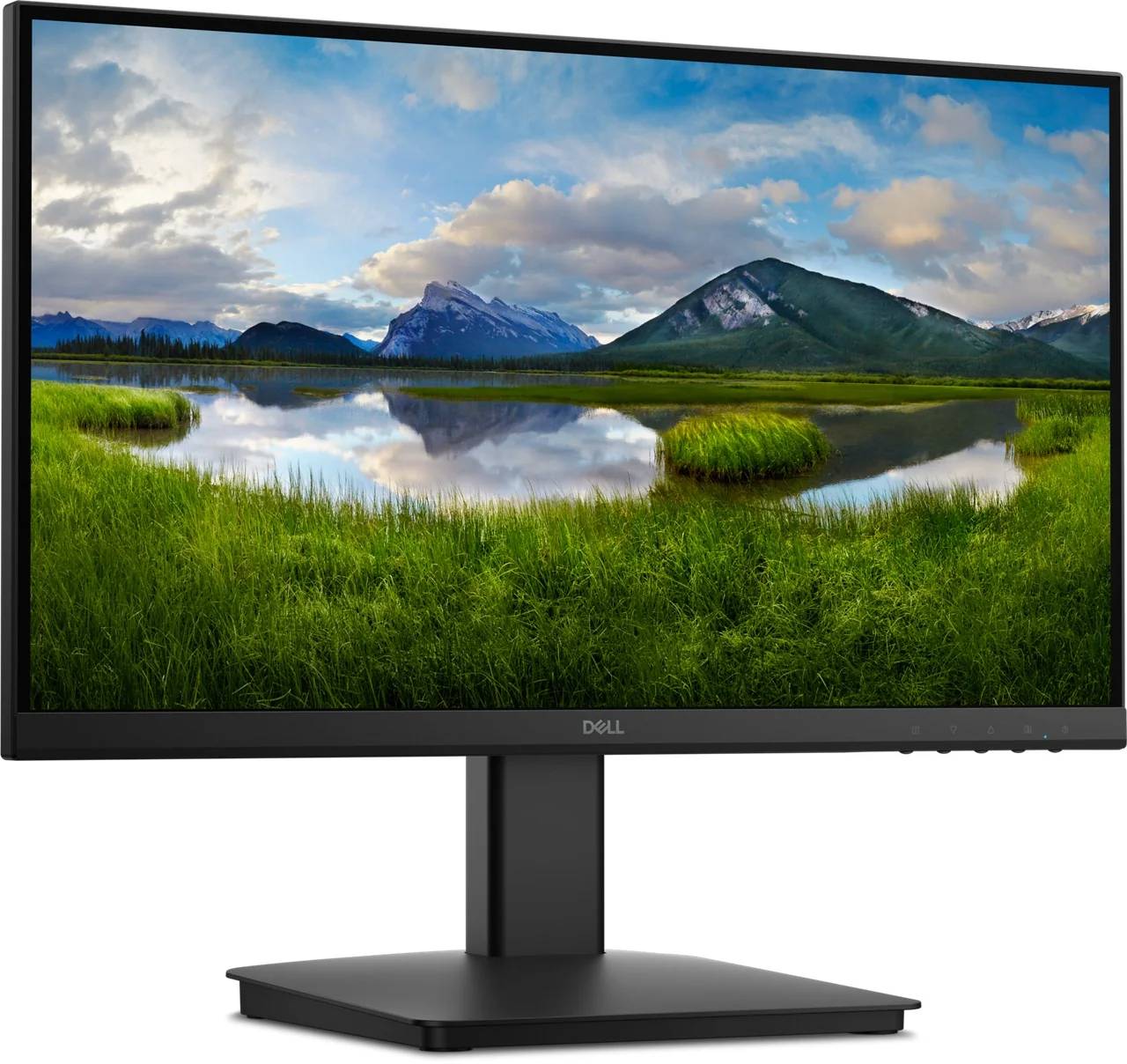 MON 22 DELL SE2225HM C