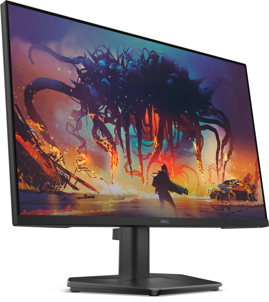 MON 24 DELL SE2425HG C