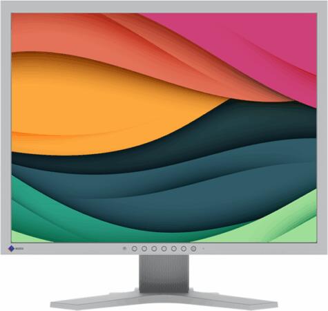 EIZO S2134-GY 21", 4:3, 1600x1200, 500 c | Altamag.ro
