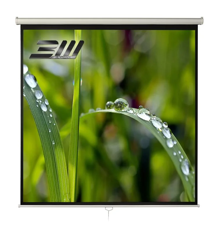 Ecran proiectie manual,perete/tavan, 200 x 200 cm, BlackMount, Format 1:1 Blackmount