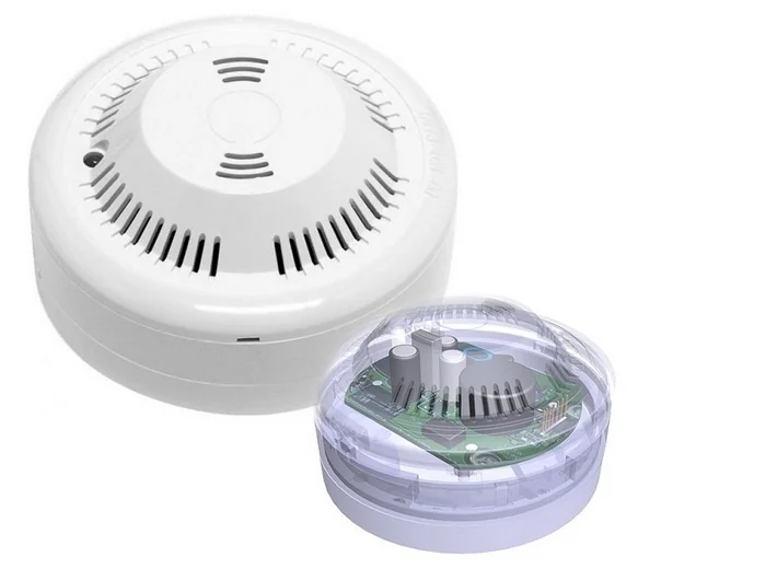 DETECTOR DE MONOXID DE CARBON 12V Wizmart