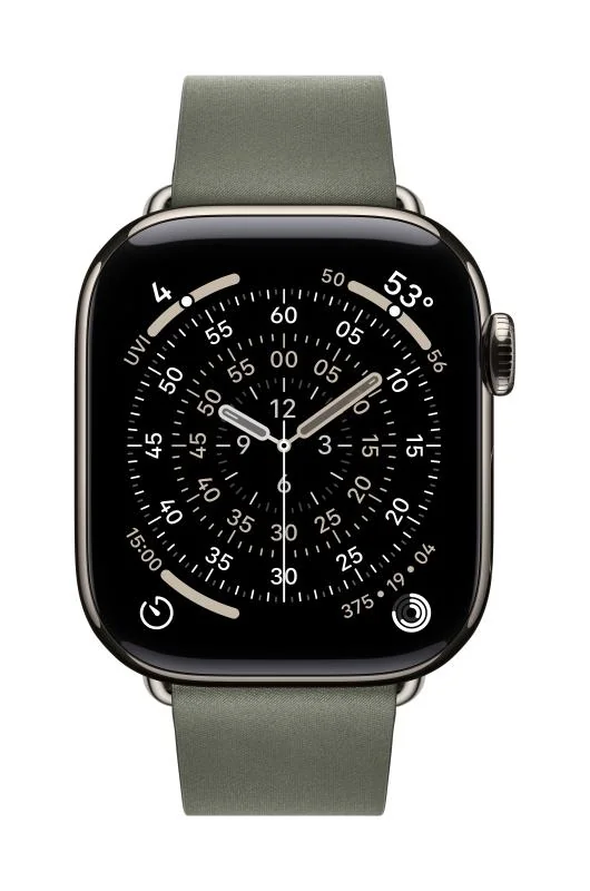 Apple Watch 42mm Sage Gray Modern Buckle - Medium