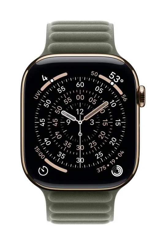Apple Watch 46mm Sage Gray Magnetic Link - S/M