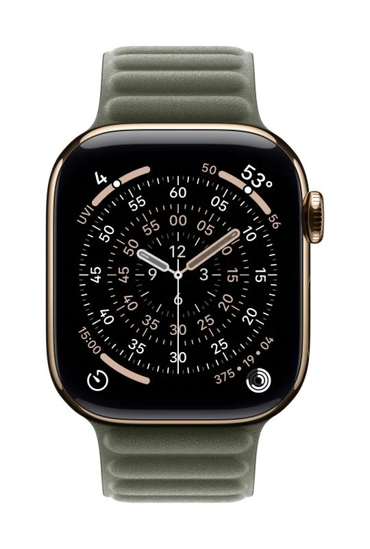 Apple Watch 42mm Sage Gray Magnetic Link - S/M