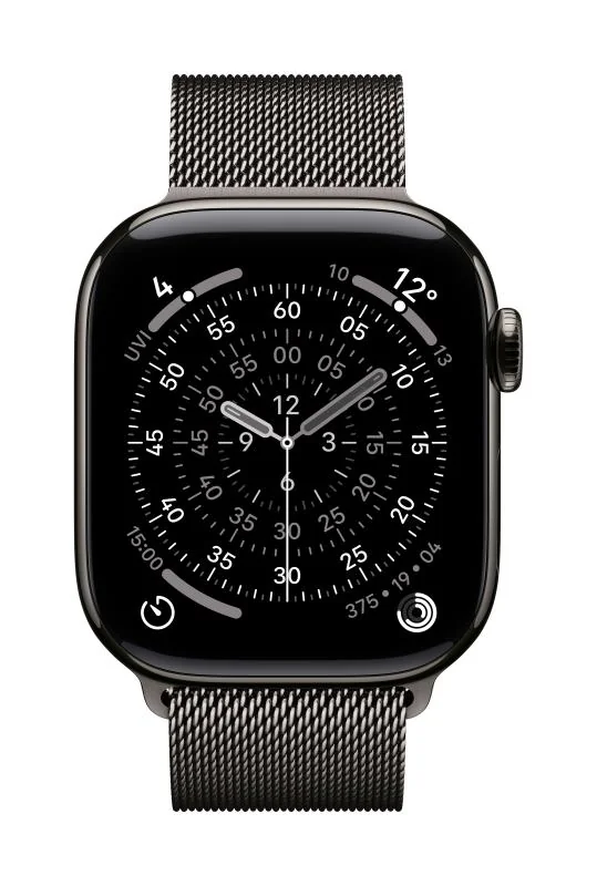 Watch 42mm Slate Milanese Loop Apple