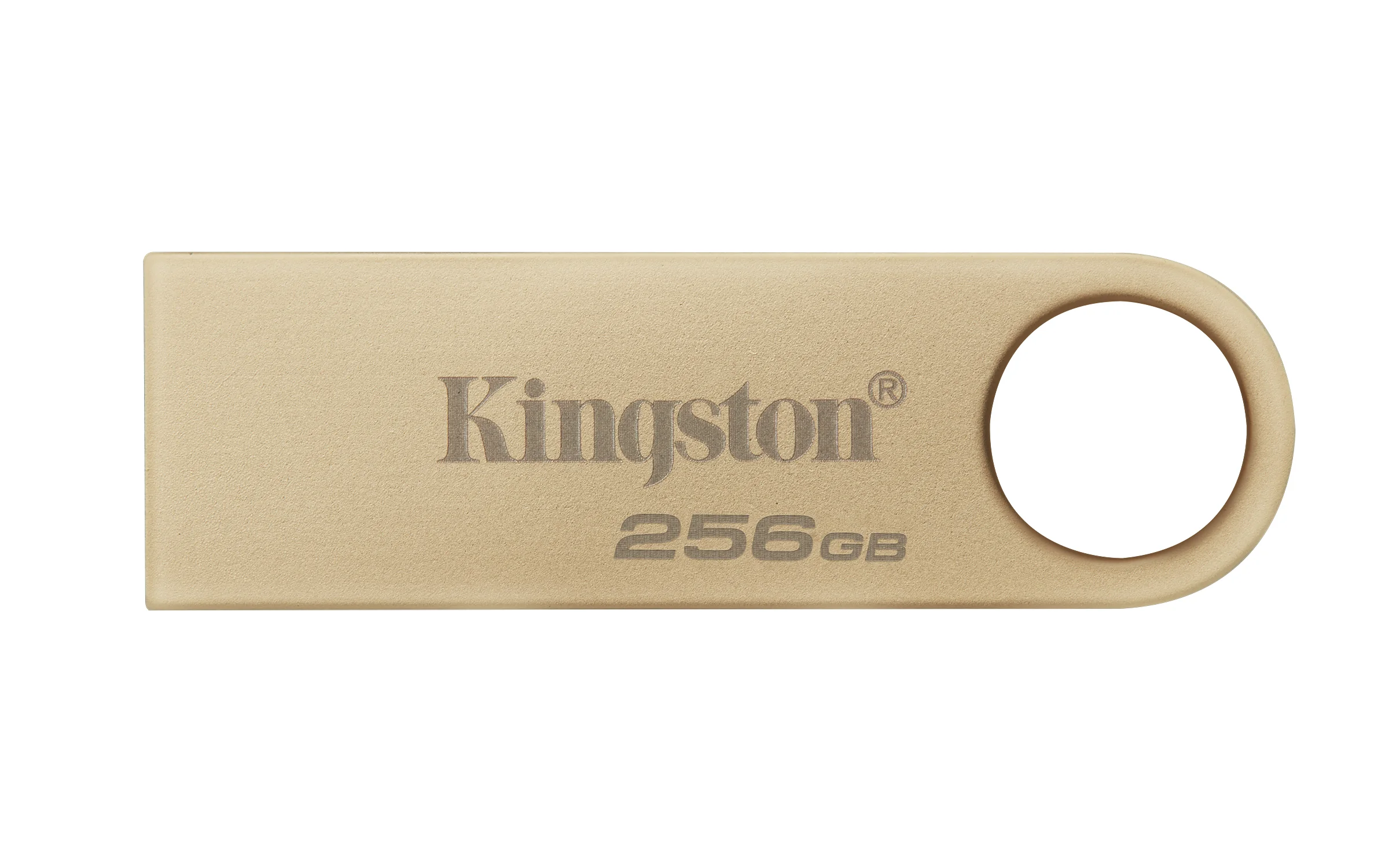 MEMORY DRIVE FLASH USB3.2/256GB DTSE9G3/256GB KINGSTON Kingston