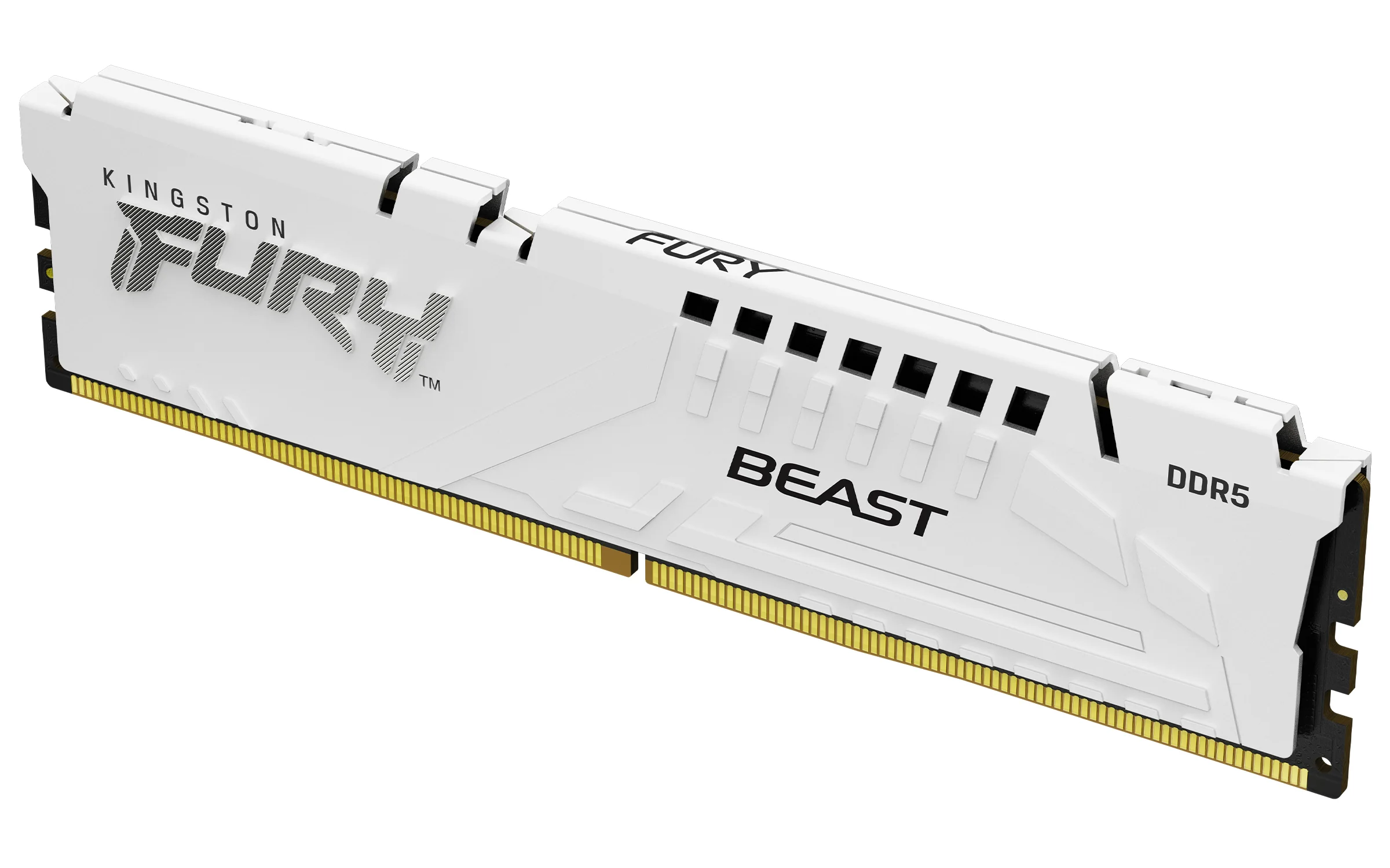 MEMORY DIMM 32GB DDR5-5600/KF556C36BWE-32 KINGSTON Kingston