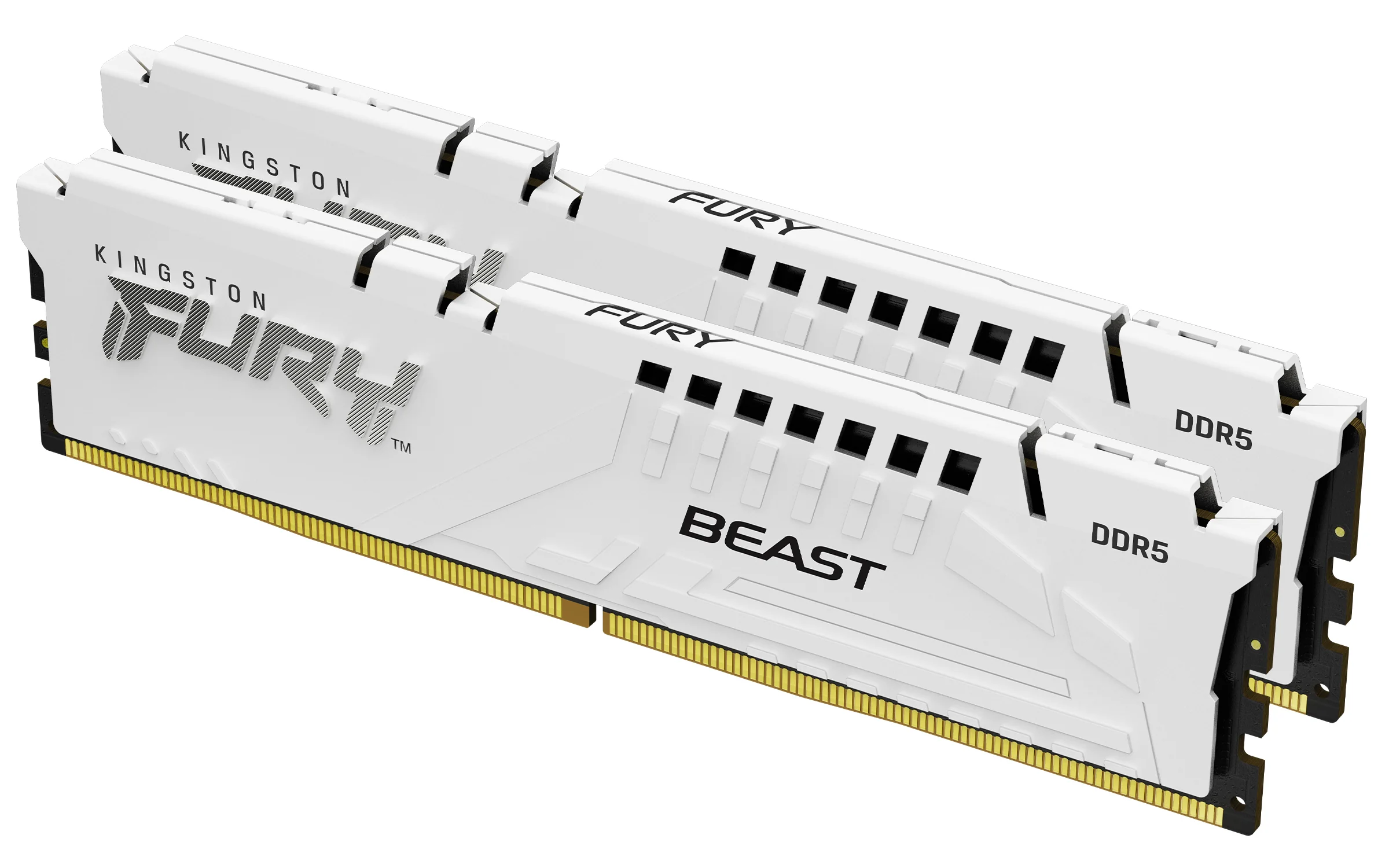 MEMORY DIMM 64GB DDR5-6000/K2 KF560C36BWEK2-64 KINGSTON Kingston