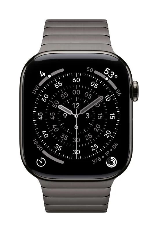 Apple Watch 46mm Slate Link Bracelet