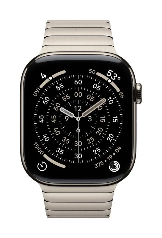 Apple Watch 46mm Natural Link Bracelet