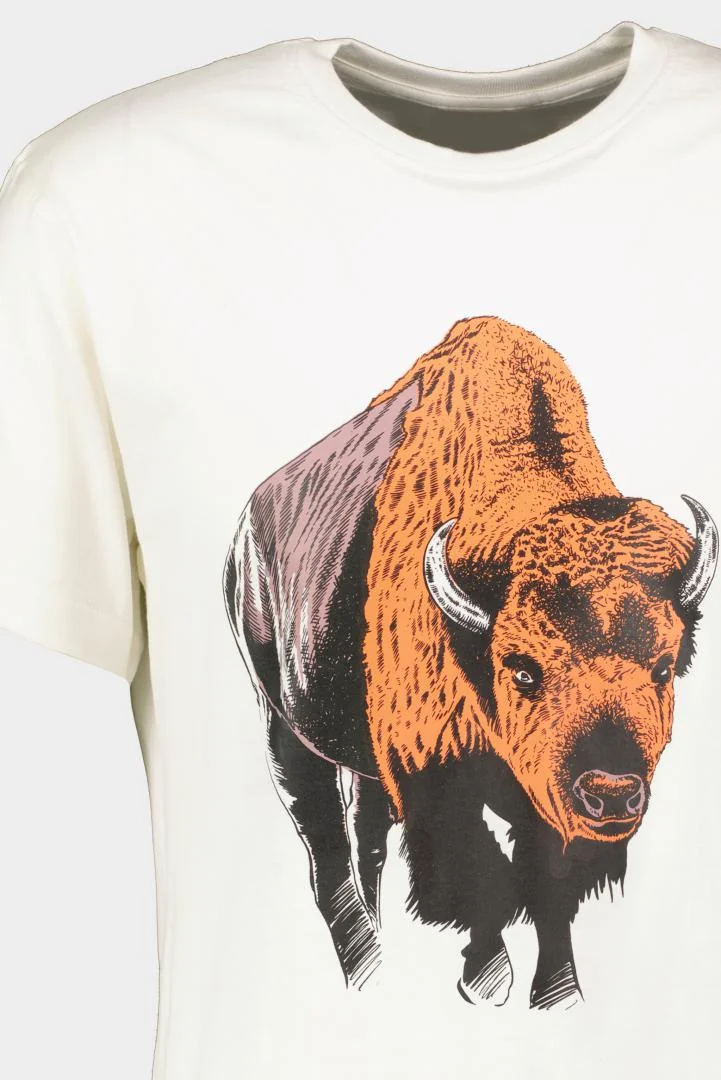 TRICOU ZIMBRU S Pegas