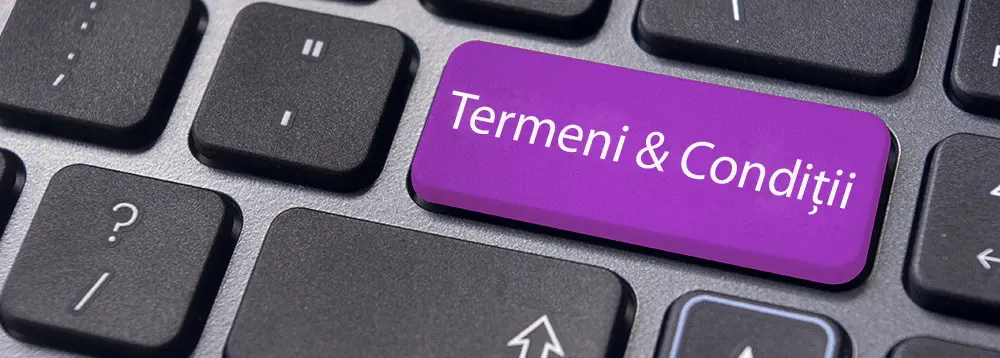 Termeni si conditii magazin Altanet