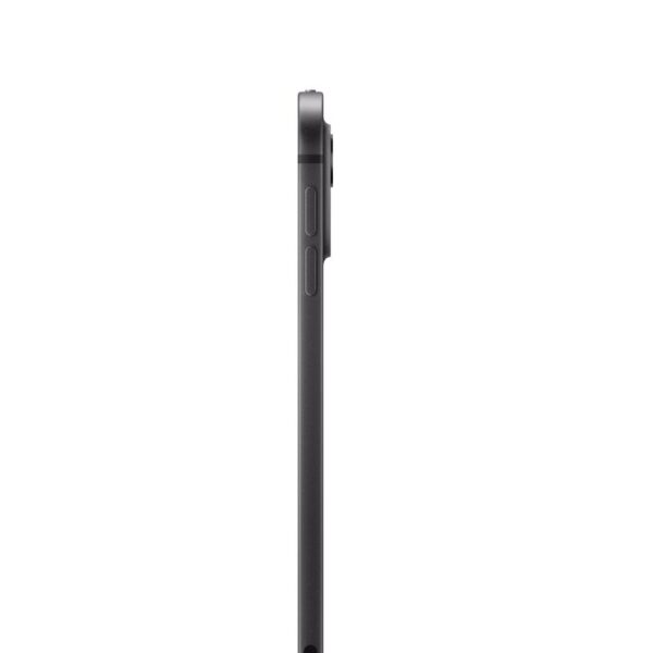 Apple 11-inch iPad Pro (M4) WiFi 256GB with Standard glass - imagine 3