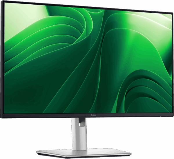 DL PRO MON 24' P2425DE LED QHD 2560x1440