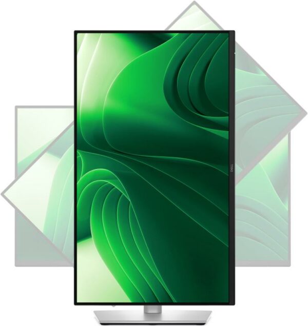 DL PRO MON 24' P2425DE LED QHD 2560x1440 - imagine 10