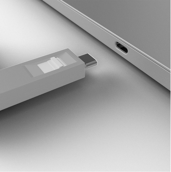 Lindy USB Type C Port Blocker Key, pachet de 4, - imagine 4